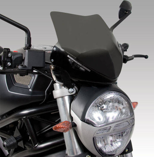 Windshield Aerosport DN7300