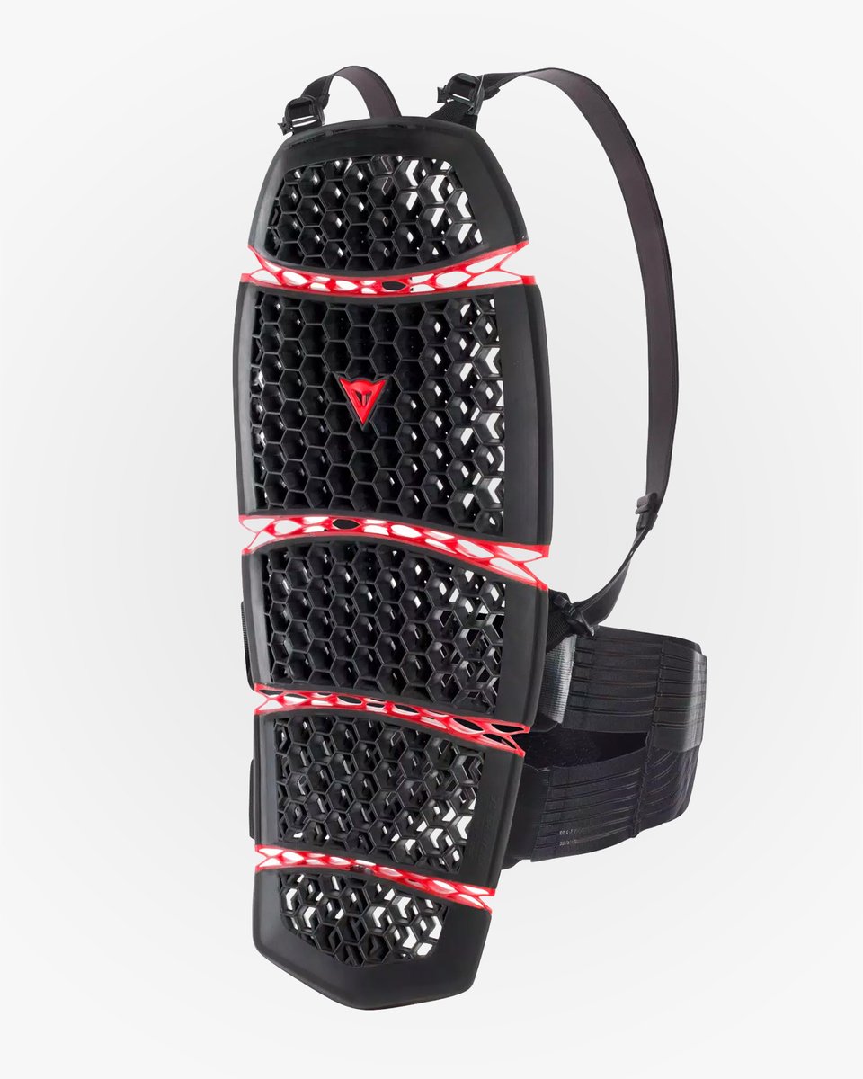 Dainese Pro-Armor Back Long 2.0 Black 001
