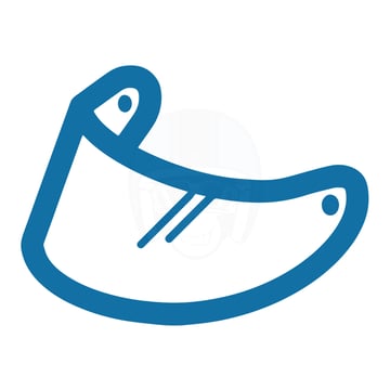 HJC Visor (HJ-31) I70