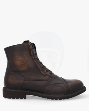 Falco Aviator Brown 707
