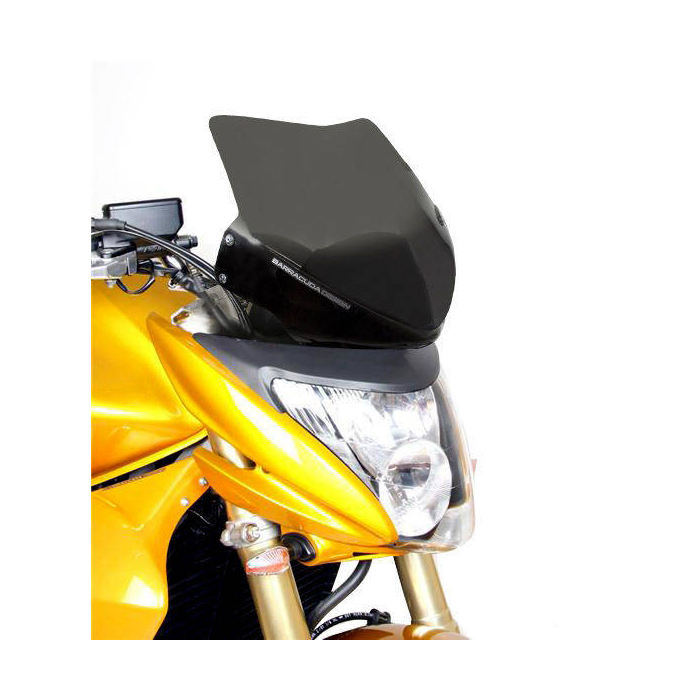 Aerosport Windshield HN6300/07