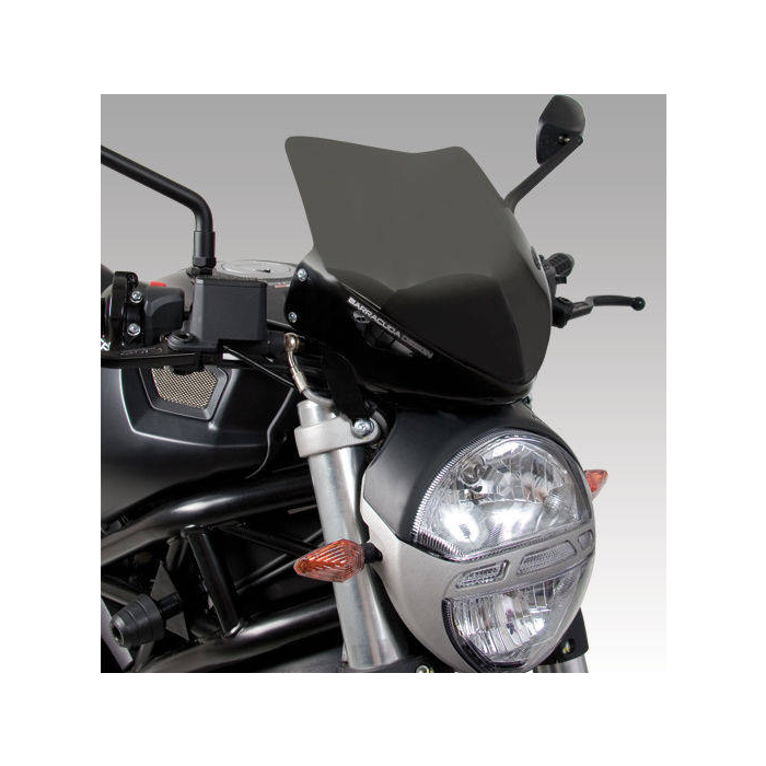 Windshield Aerosport DN7300