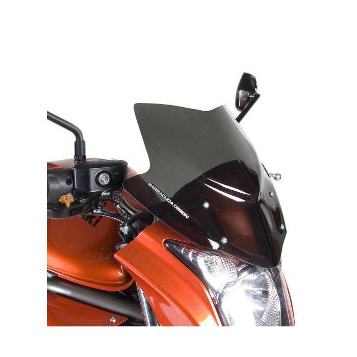 Windshield Aerosport KE6300/09