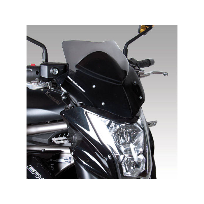 Windshield Aerosport KE6300/12
