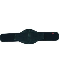 Booster Comfort 2 black 101